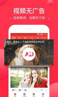 娱乐吃瓜视频模板图片,趣味十足！最新娱乐吃瓜视频模板图片大揭秘