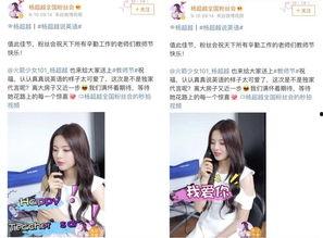 娱乐吃瓜酱蓝莓视频,娱乐吃瓜酱带你揭秘娱乐圈幕后故事