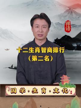 娱乐718吃瓜王大锤,娱乐718的八卦传奇与网络围观文化