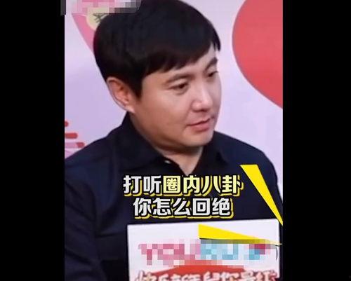 娱乐圈吃瓜会长,揭秘明星背后的故事与真相