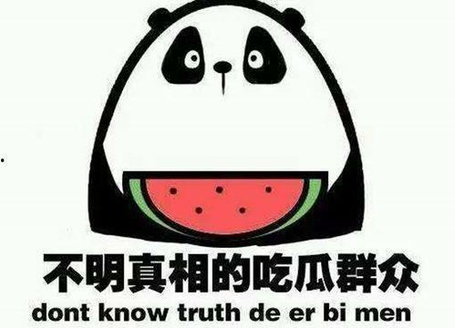 我在娱乐公司吃瓜,一场吃瓜者的狂欢之旅