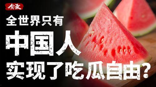娱乐吃瓜酱财富自由,娱乐吃瓜酱教你轻松实现财富自由之路