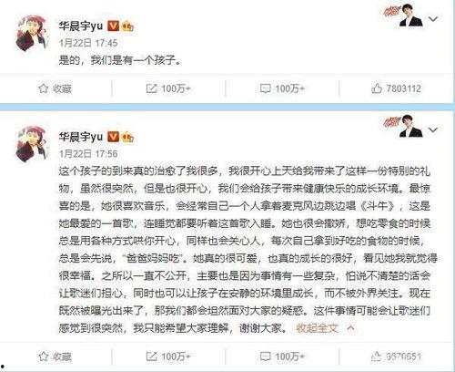 娱乐吃瓜隐婚视频,明星们的秘密婚姻生活