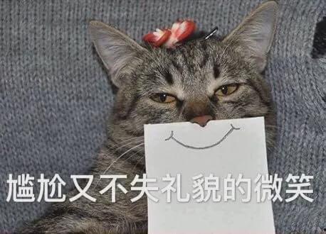 娱乐吃瓜猫作品原声,原声音乐中的视听盛宴与情感共鸣