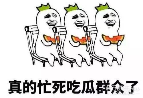 吃瓜群众娱乐版,吃瓜群众娱乐版全景扫描