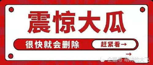 娱乐圈吃瓜早报,吃瓜早报揭秘最新动态