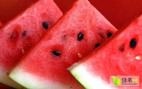 娱乐吃瓜菌讲中式教育,揭秘其背后的争议与影响