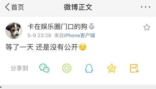 娱乐吃瓜爆料营销号,吃瓜营销号背后的真相与影响