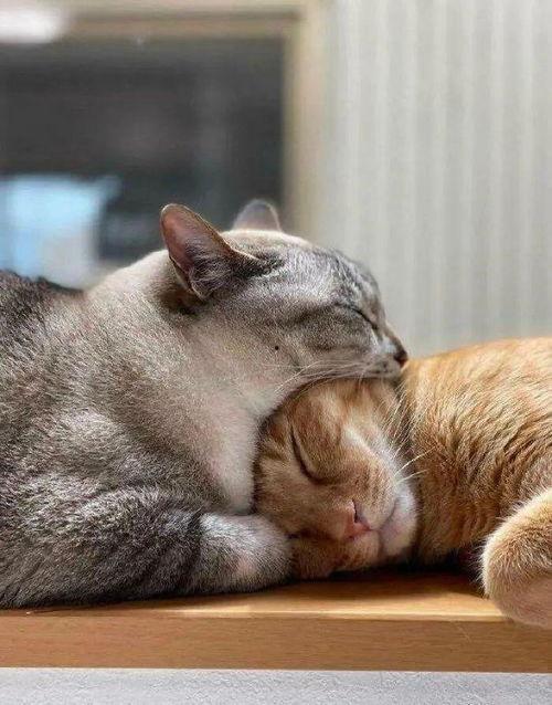 娱乐吃瓜酱猫妈,吴冕演绎年代剧中的坚强母亲形象