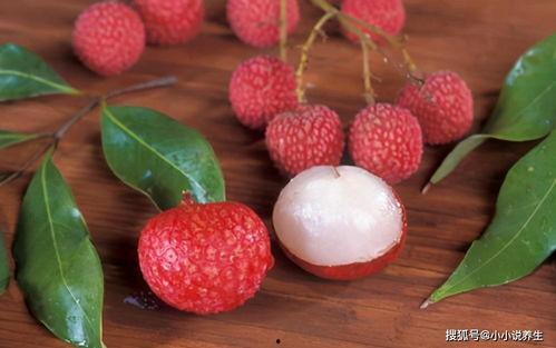 娱乐吃瓜酱荔枝视频,娱乐吃瓜酱带你揭秘娱乐圈幕后故事
