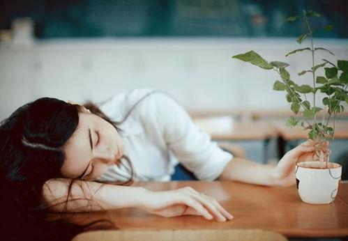 娱乐吃瓜酱爱如火,如火如荼的娱乐圈风云录