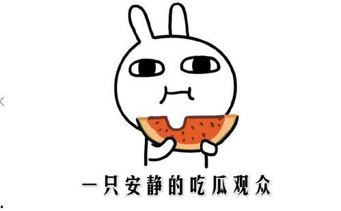 娱乐吃瓜酱如何吵架,一招制胜的口水战攻略
