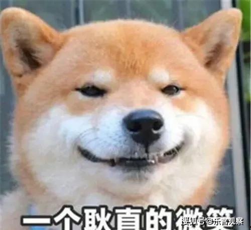 吃瓜娱乐圈小羊,揭秘吃瓜群众的娱乐盛宴