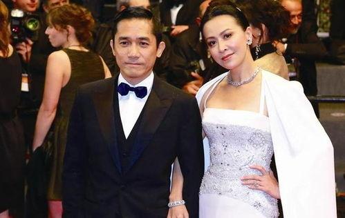 娱乐圈吃瓜太累,轻松应对，轻松解压