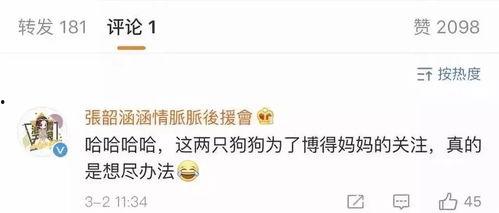 娱乐圈吃瓜食品,揭秘明星们的“吃瓜”生活