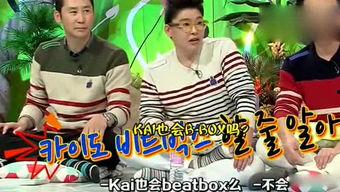 娱乐吃瓜全集免费观看,全集免费观看，揭秘娱乐圈幕后真相