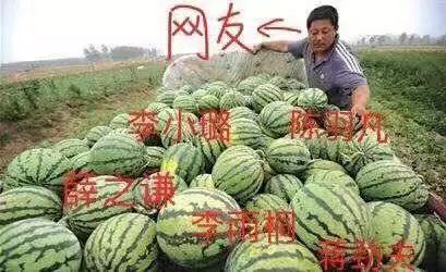 娱乐吃瓜公司有哪些,盘点热门吃瓜公司背后的故事