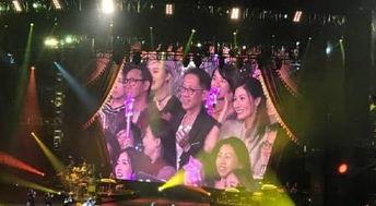 娱乐吃瓜酱演唱会,燃情开唱，狂欢之夜