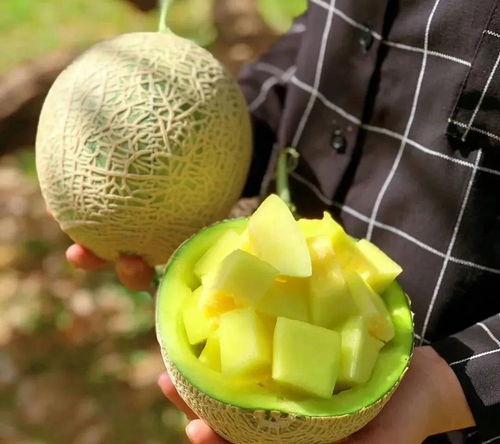 吃瓜娱乐图片高清壁纸,吃瓜娱乐瞬间，捕捉欢乐时光