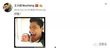 娱乐大嘴吃瓜视频,揭秘娱乐圈幕后真相