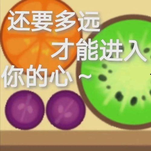 娱乐吃瓜还有什么别称,从“吃瓜群众”到“瓜界先锋”的华丽转身