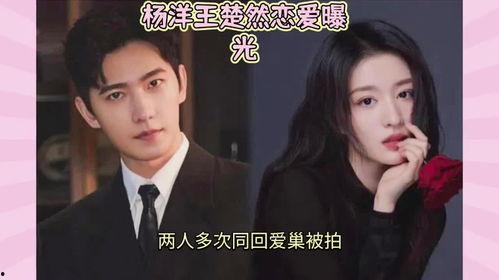 吃瓜直播间娱乐圈大瓜,揭秘吃瓜直播间大瓜背后的真相