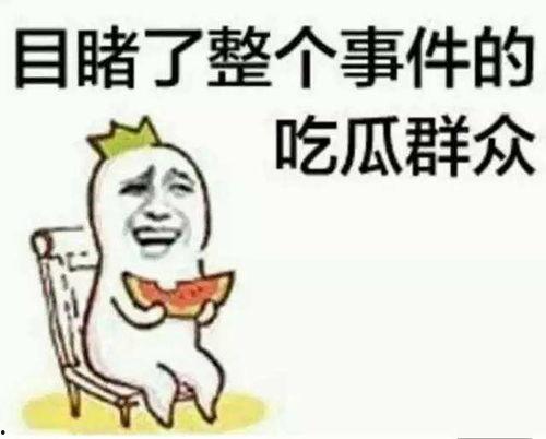 娱乐吃瓜小象小说免费阅读,揭秘娱乐圈背后的秘密