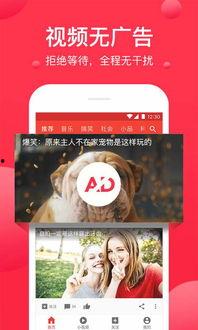 娱乐吃瓜文案视频下载,娱乐文案背后的下载狂潮