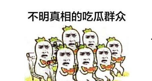 吃瓜群众娱乐素材视频,揭秘热门娱乐素材视频背后的趣味故事