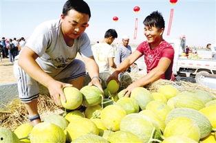 娱乐吃瓜君山河令,古装武侠剧中的甜蜜与热血交织