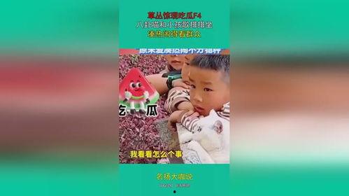 娱乐吃瓜群众歌曲大全,歌曲大全盘点