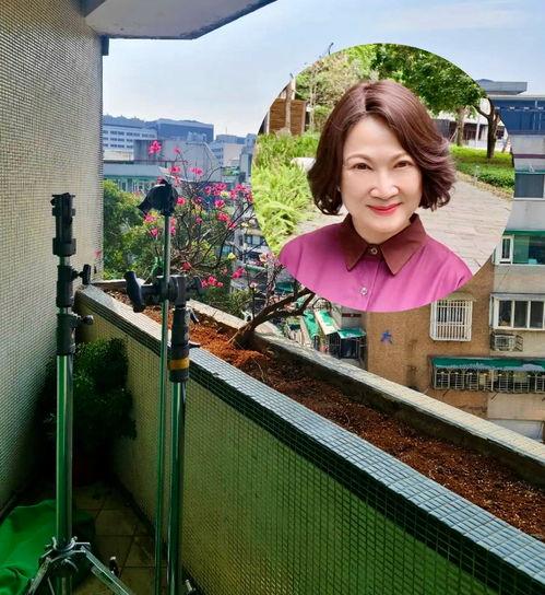 娱乐吃瓜头像女真人高清,娱乐吃瓜头像惊艳亮相