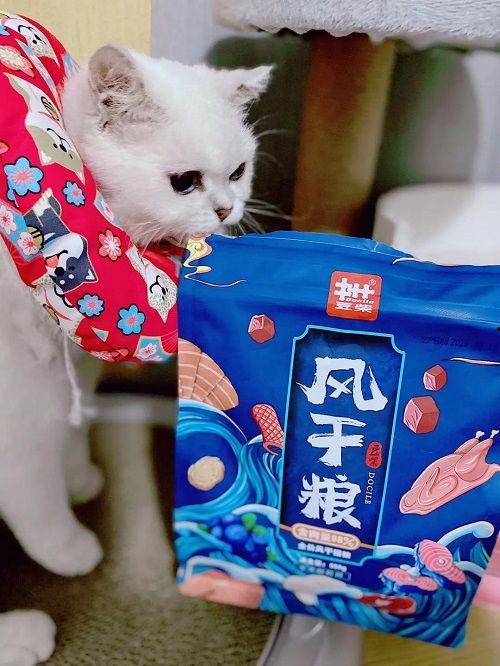 娱乐吃瓜君二豆猫